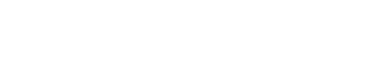 Bizcheck logo